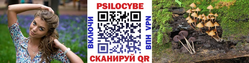 Галлюциногенные грибы Psilocybe  Нерюнгри 